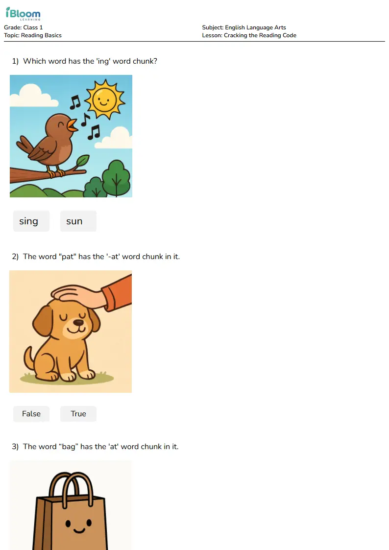 Cracking the Reading Code Lesson for Class 1