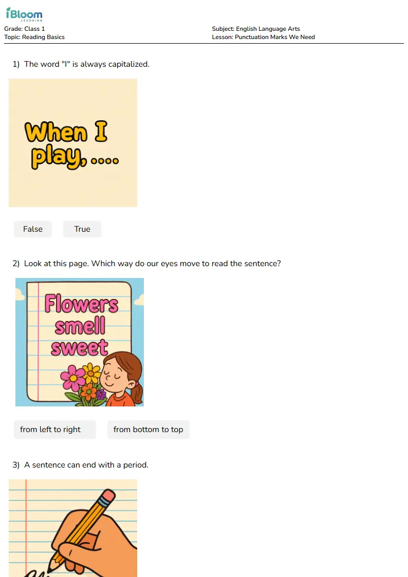 Punctuation Marks We Need Lesson for Class 1 | iBloom