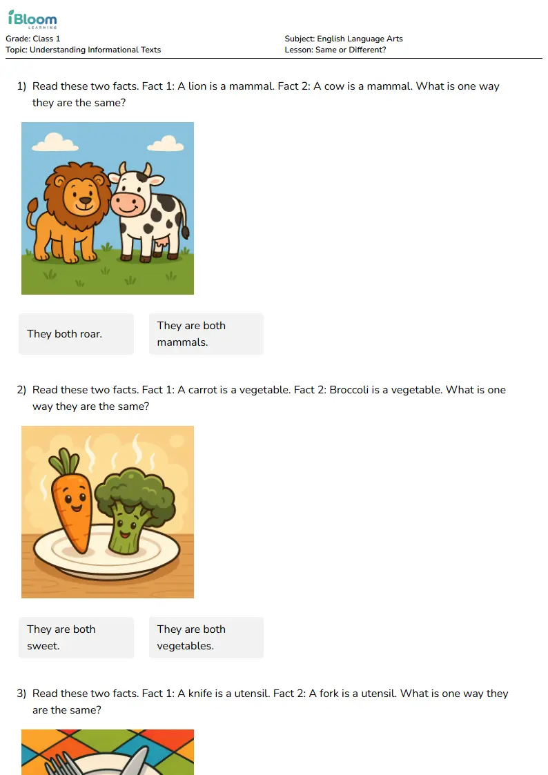 Same or Different? Lesson for Class 1 | iBloom