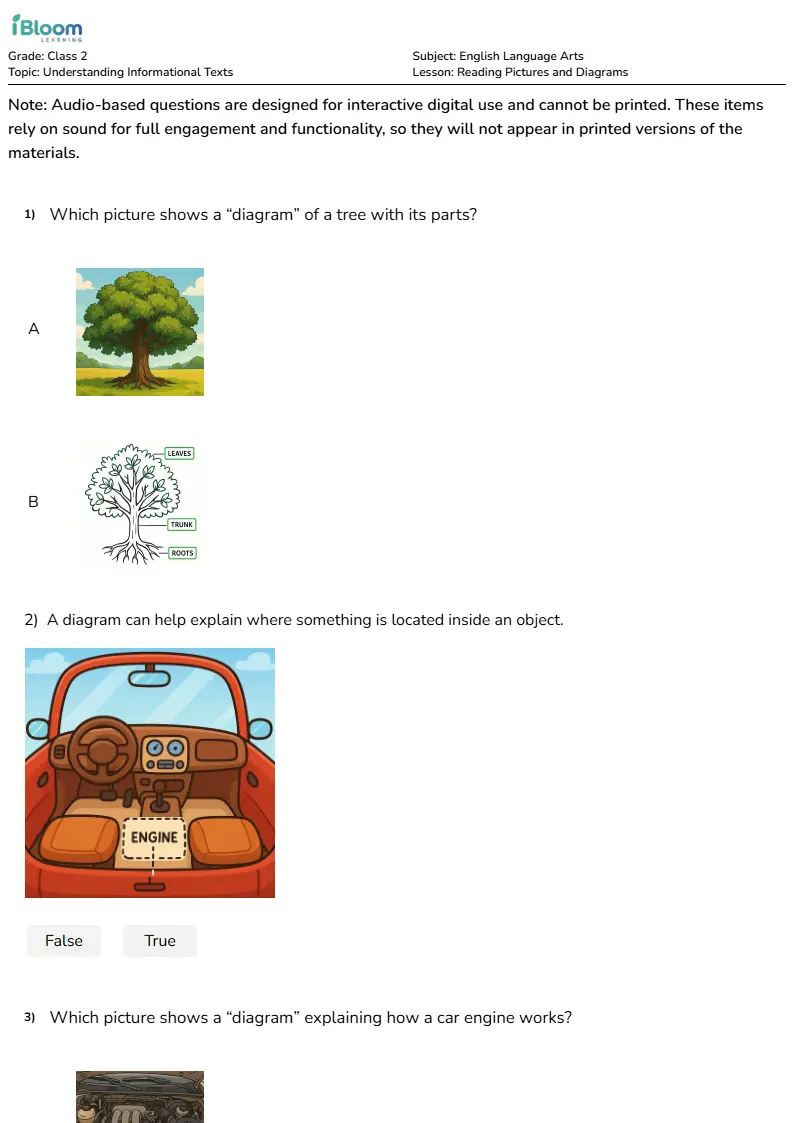 Reading Pictures and Diagrams Lesson for Class 2 | iBloom