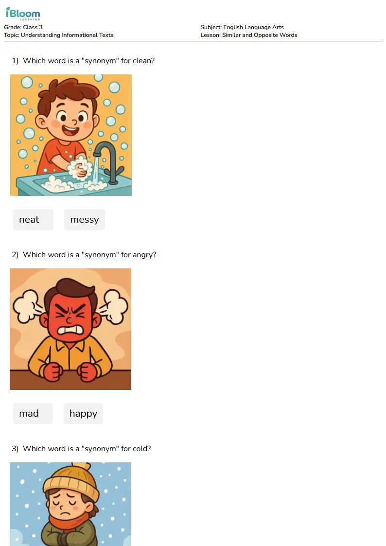 Similar and Opposite Words Lesson for Class 3 | iBloom