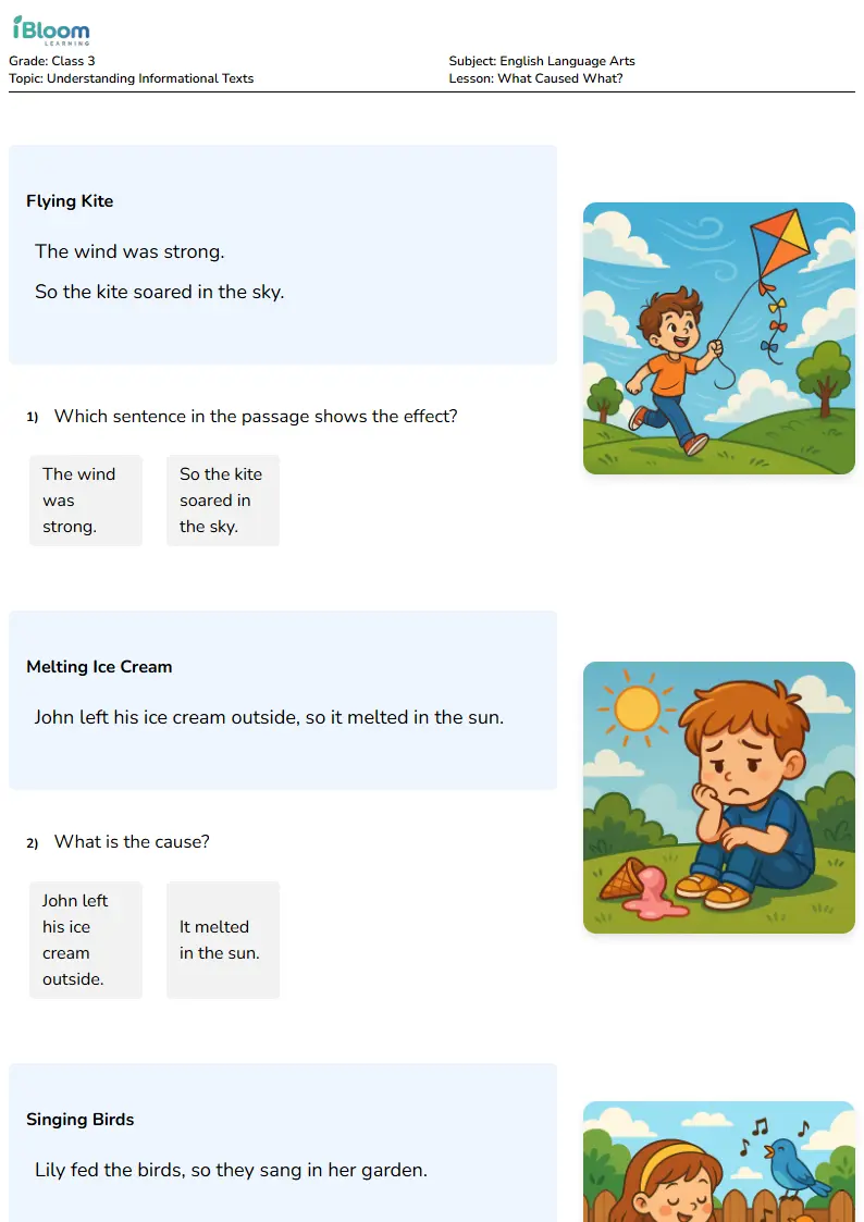 What Caused What? Lesson for Class 3 | iBloom