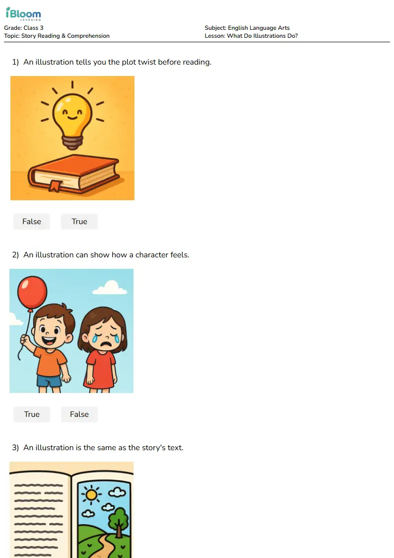 What Do Illustrations Do? Lesson for Class 3 | iBloom