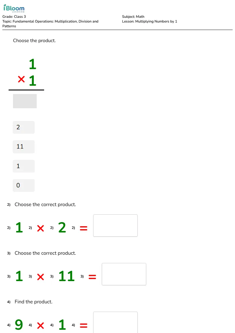 Multiplying Numbers by 1 Lesson for Class 3