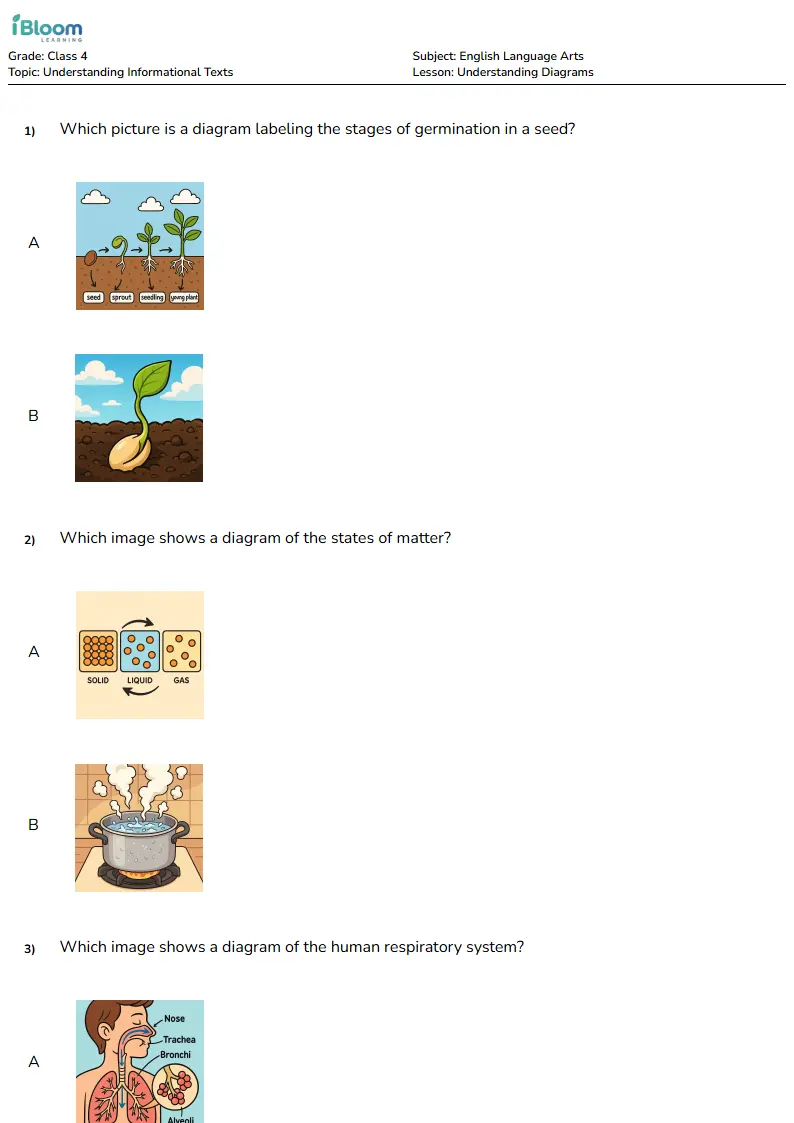 Understanding Diagrams Lesson for Class 4 | iBloom