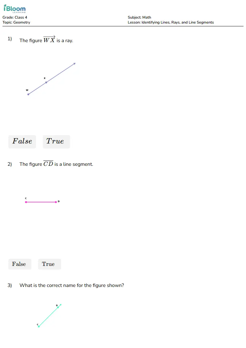 Identifying Lines, Rays, and Line Segments Lesson for Class 4 | iBloom