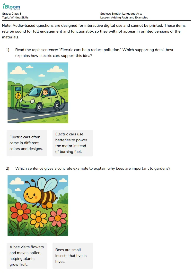Adding Facts and Examples Lesson for Class 5