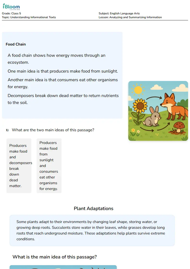 Analyzing and Summarizing Information Lesson for Class 5