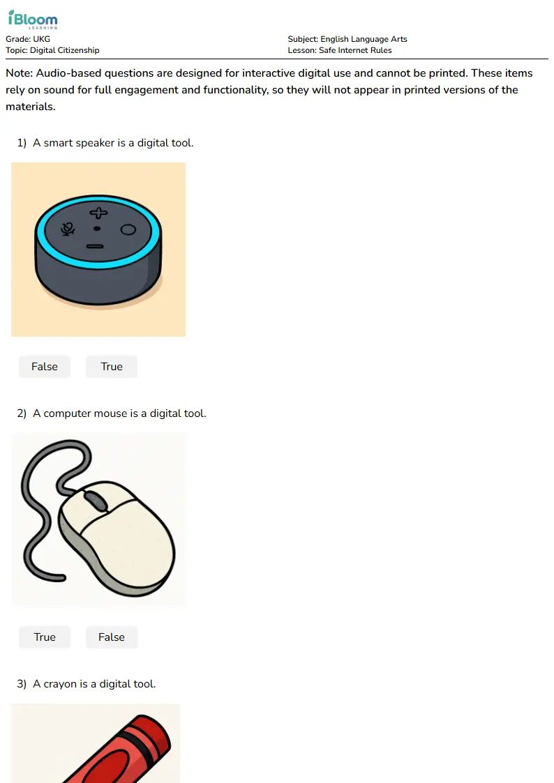 Safe Internet Rules Lesson for Ukg | iBloom