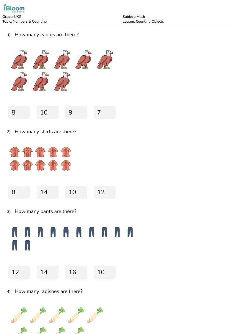 Counting Objects Lesson for Ukg