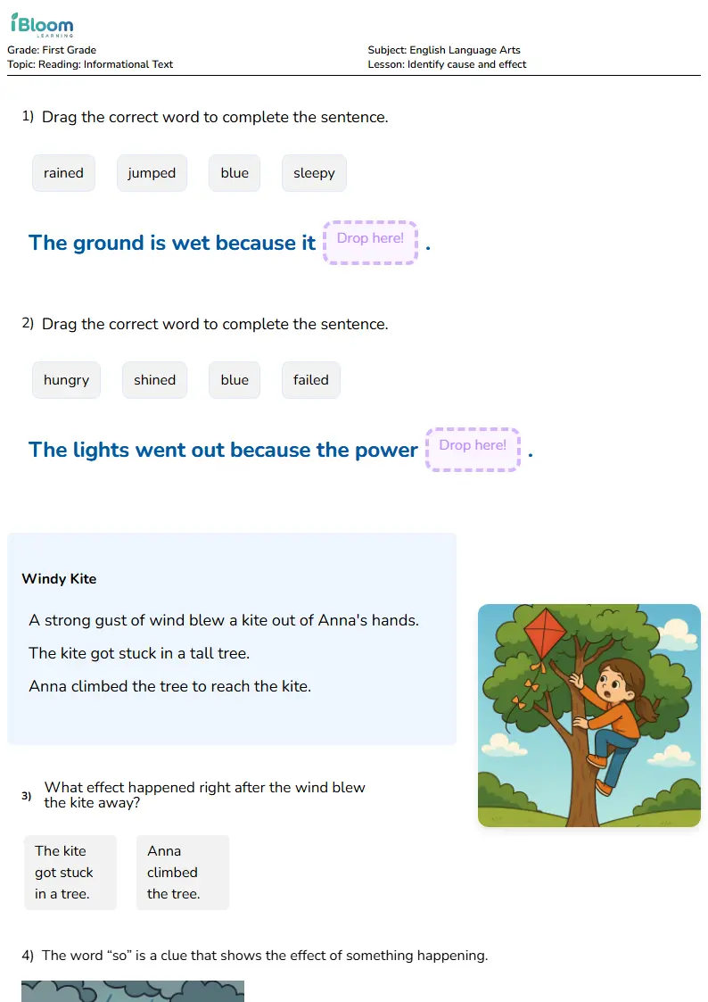 Identify cause and effect Lesson for First Grade | iBloom