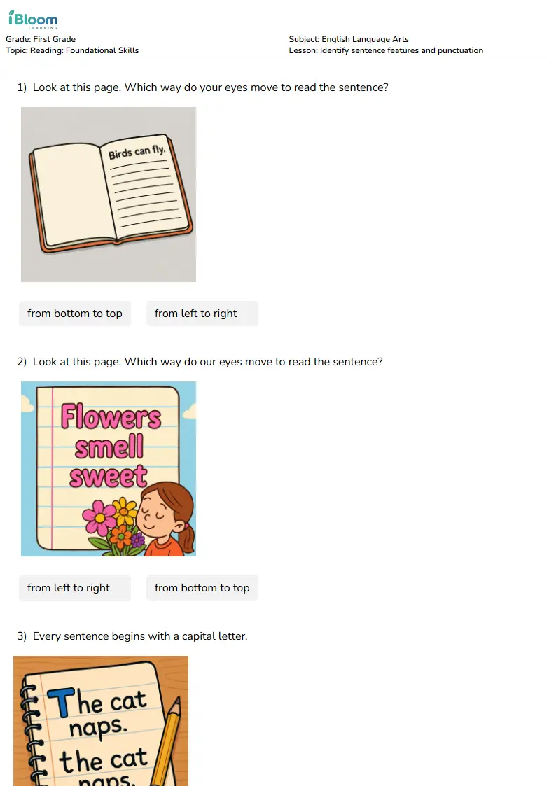 Identify sentence features and punctuation Lesson for First Grade | iBloom