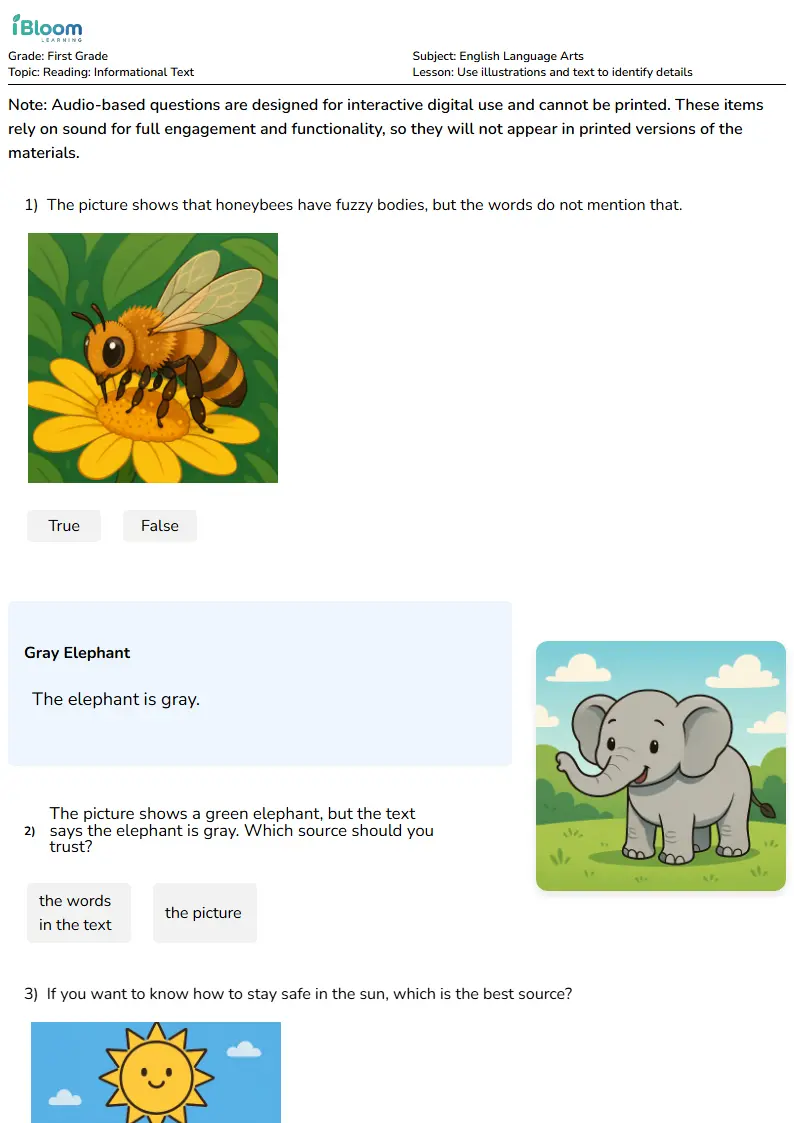 Use illustrations and text to identify details Lesson for First Grade | iBloom