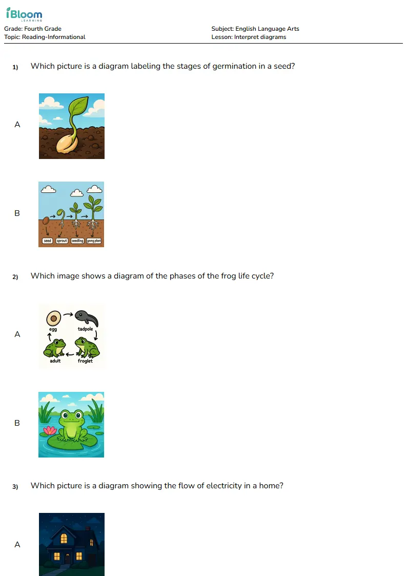 Interpret diagrams Lesson for Fourth Grade | iBloom