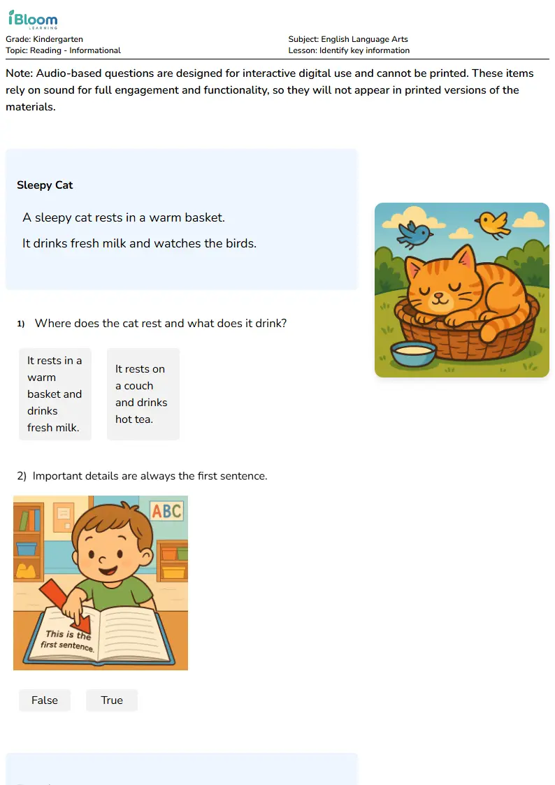 Identify key information Lesson for Kindergarten | iBloom