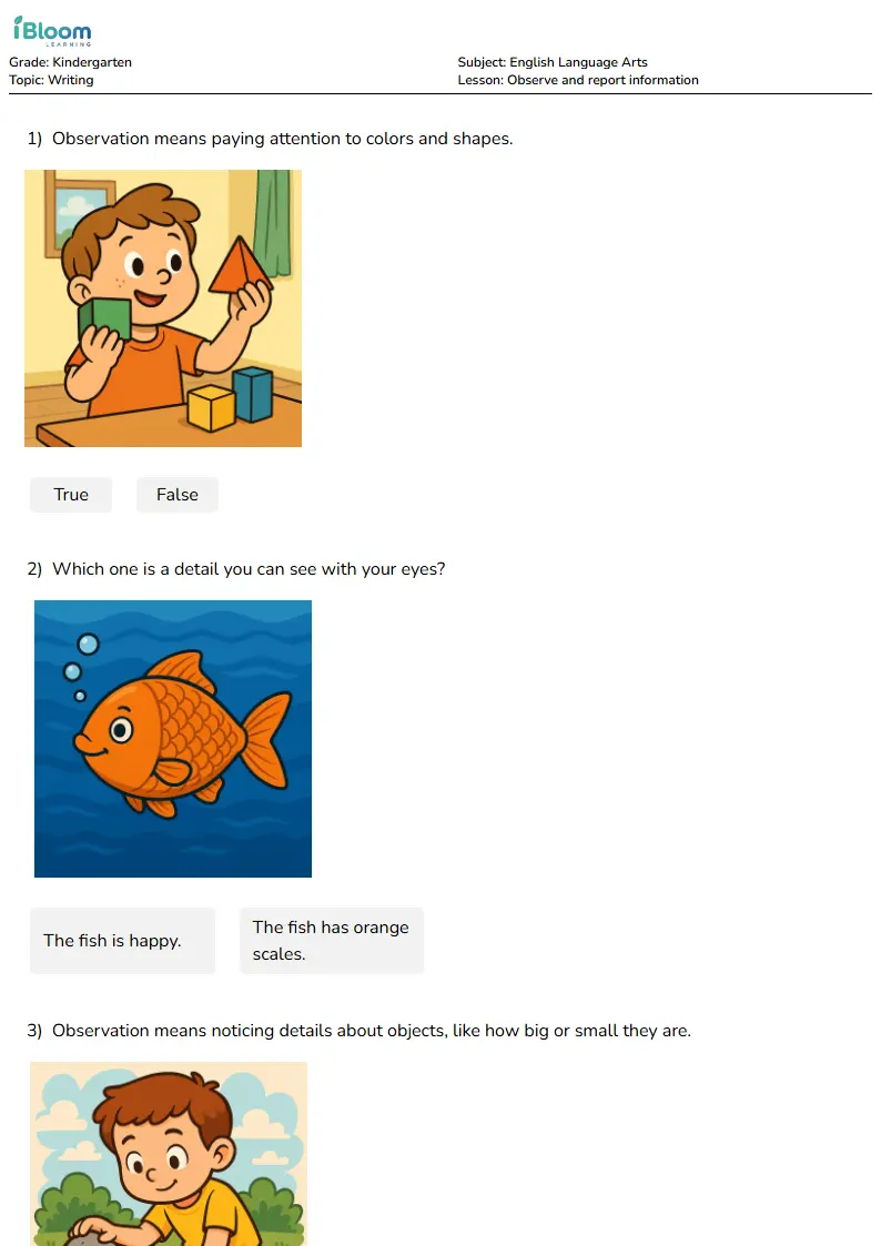 Observe and report information Lesson for Kindergarten | iBloom