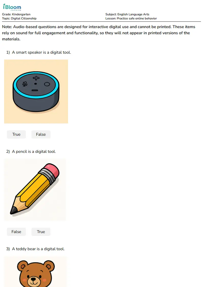 Practice safe online behavior Lesson for Kindergarten | iBloom