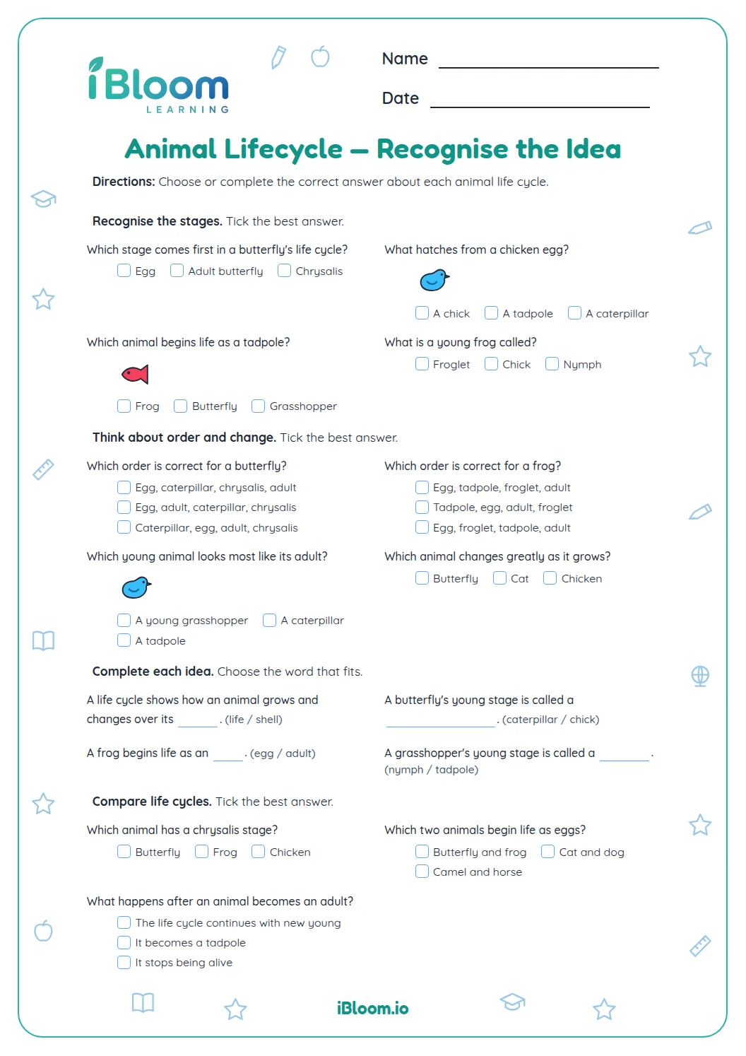 Animal Lifecycle Practice Activities | iBloom