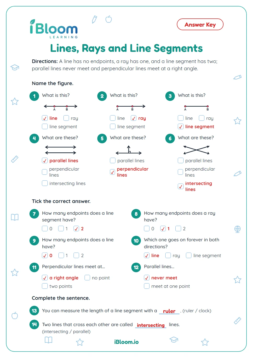 Answer key for the lines, rays and line segments worksheet with every correct name and fact ticked.