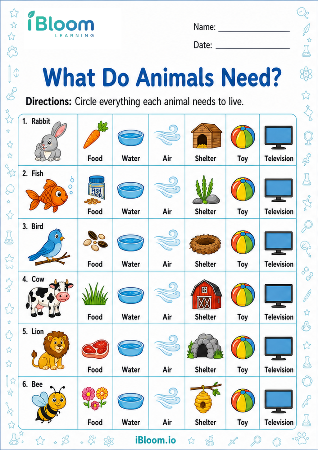Preview page 1 of What Do Animals Need?