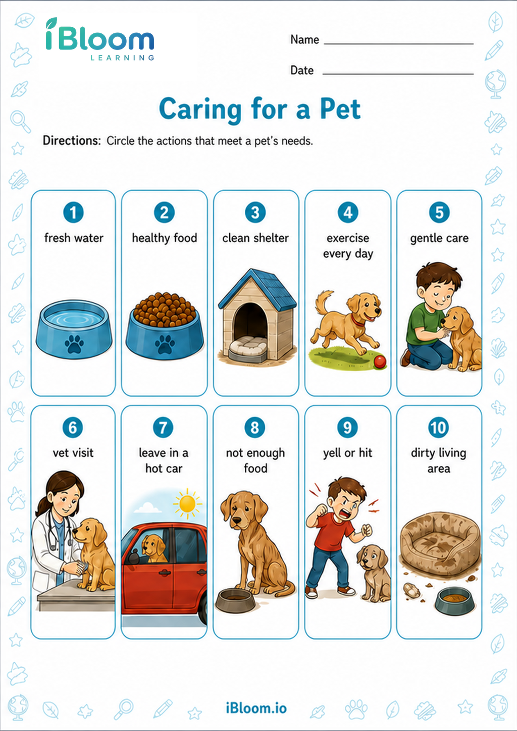 Preview page 1 of Caring for a Pet