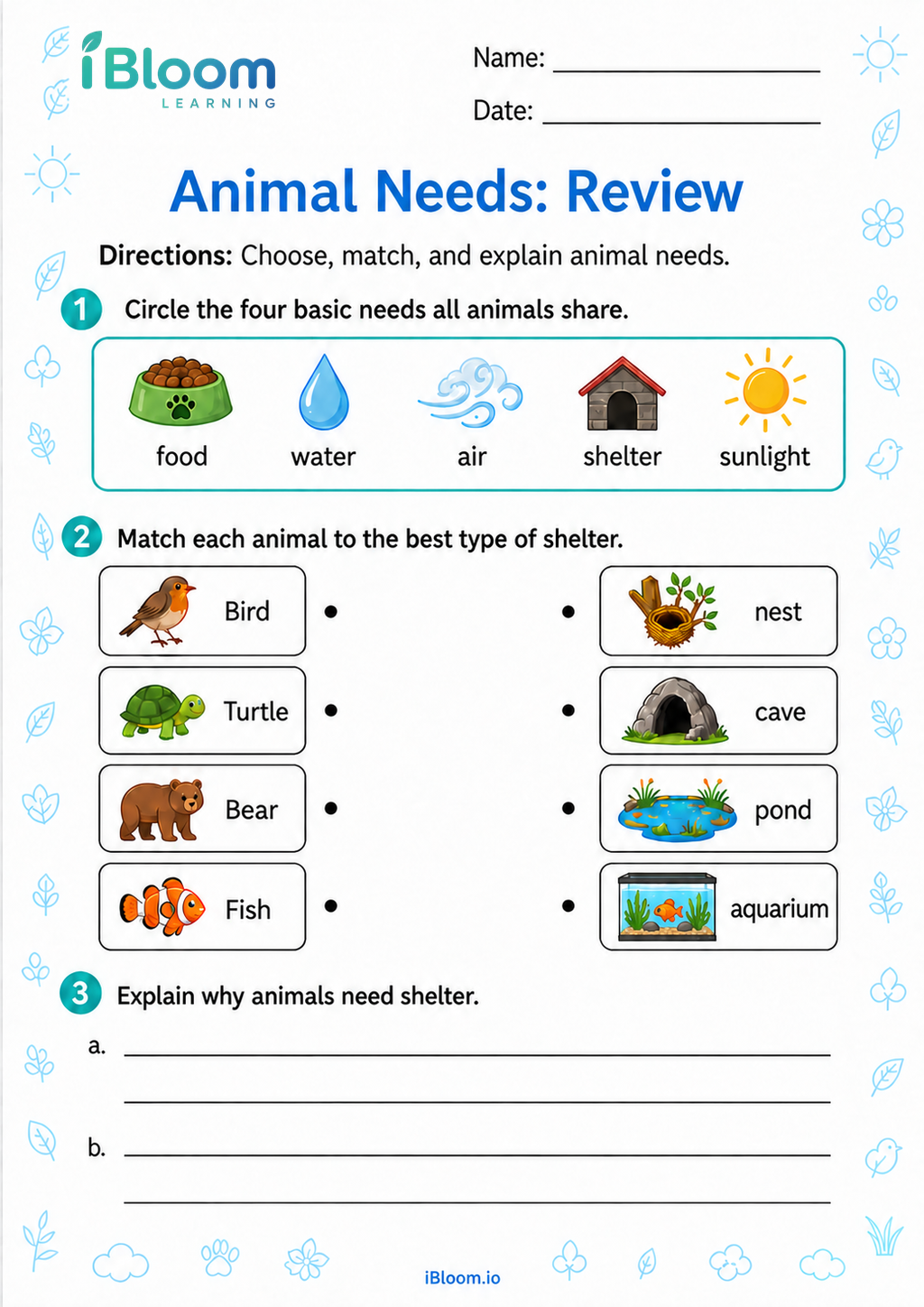 Preview of Animal Needs: Review worksheet