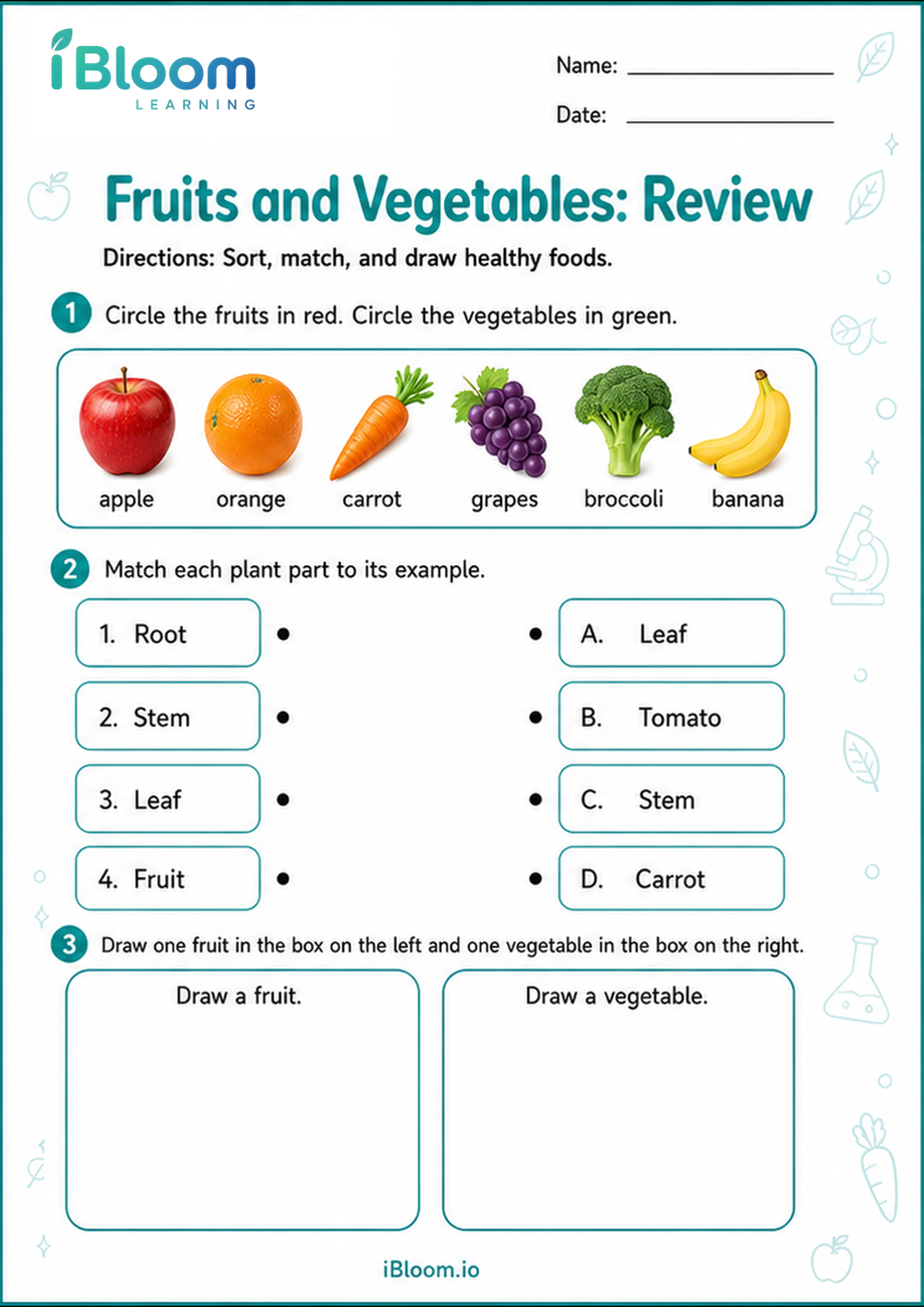Preview of Fruits and Vegetables: Review worksheet