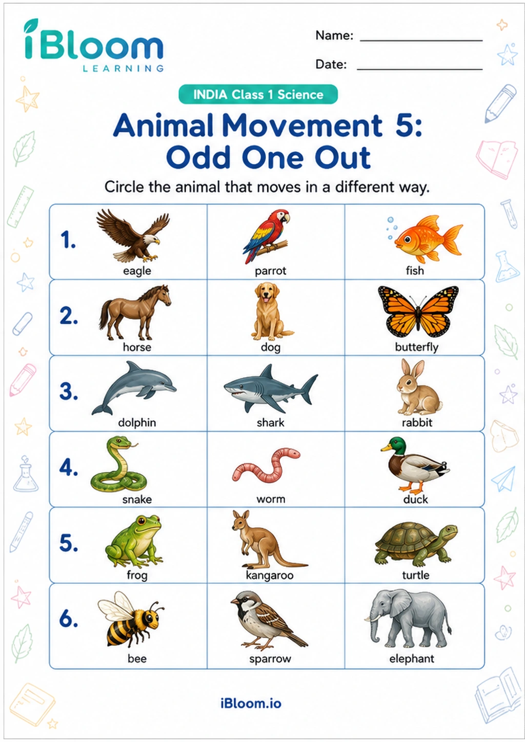 Preview of Animal Movement 5: Odd One Out worksheet