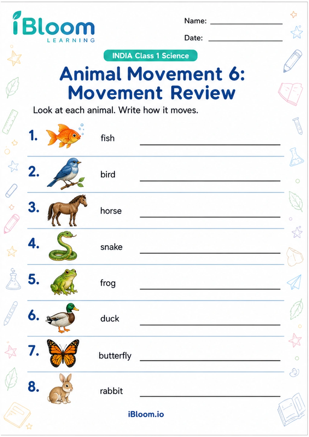 Preview of Animal Movement 6: Movement Review worksheet