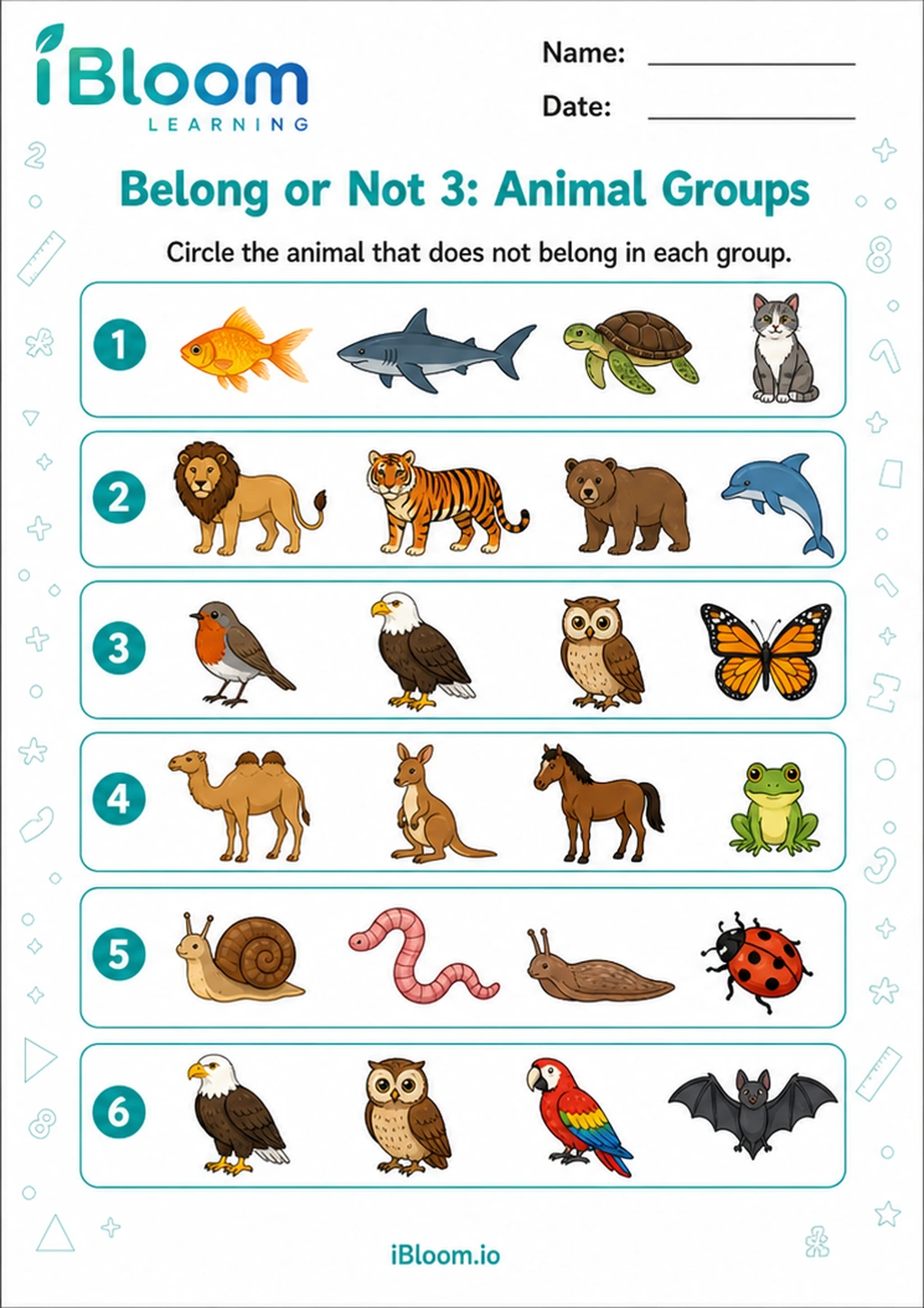 Preview page 1 of Belong or Not 3: Animal Groups