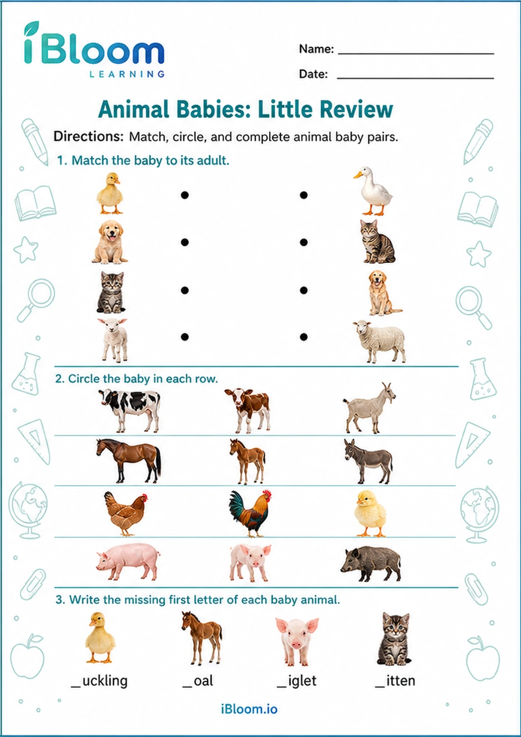 Preview of Animal Babies: Little Review worksheet