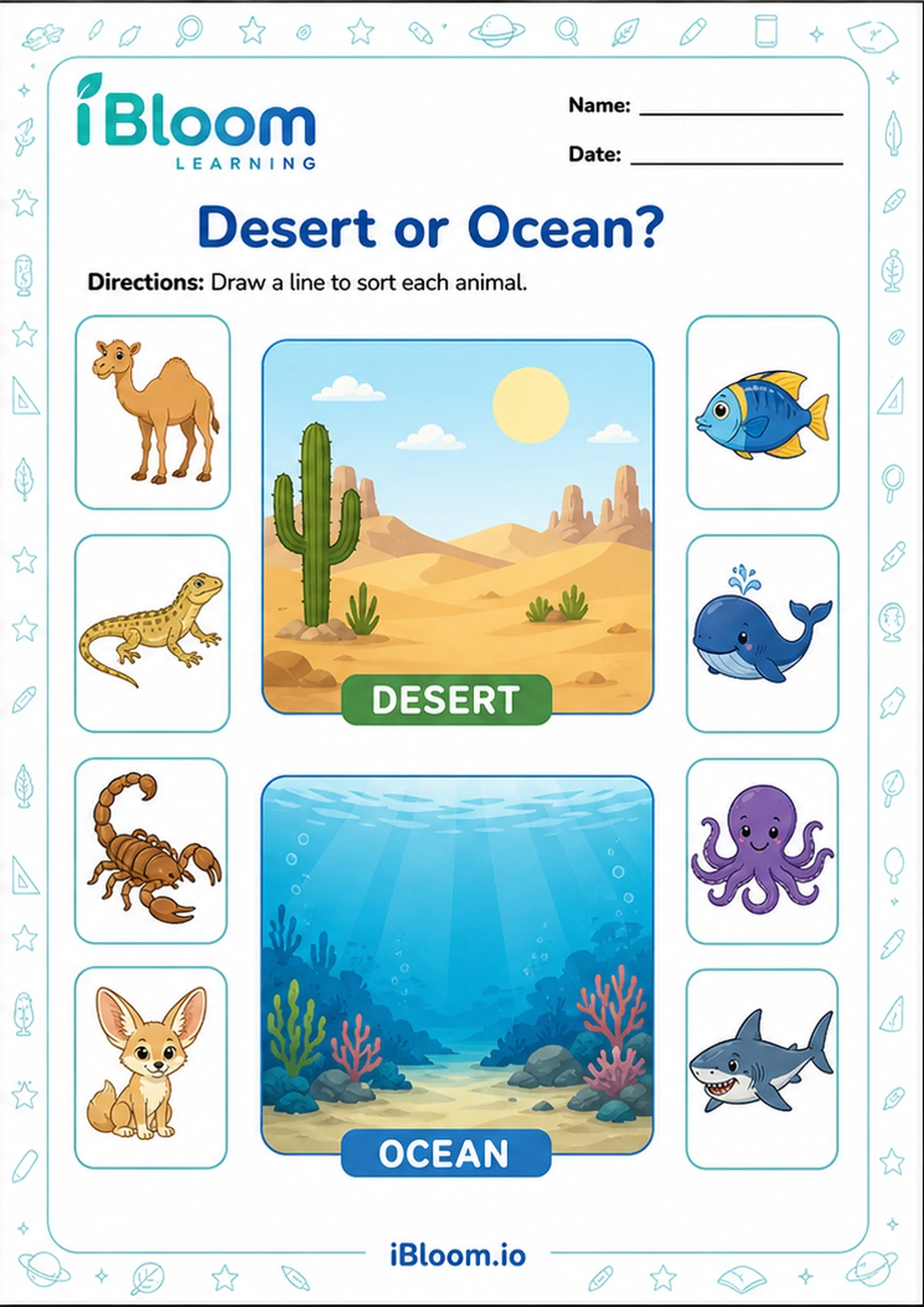 Preview of Desert or Ocean? worksheet