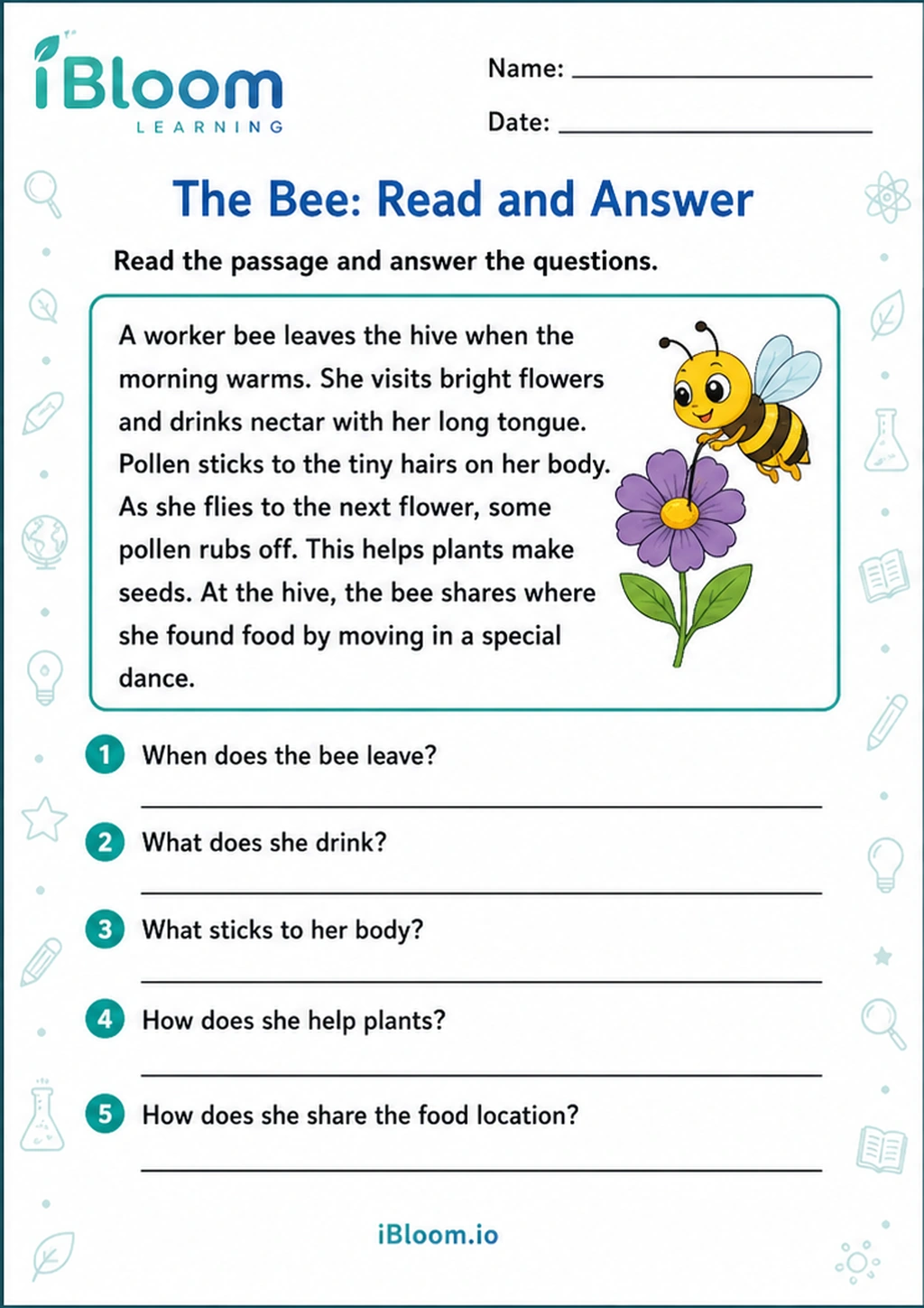 Preview of The Bee: Read and Answer worksheet