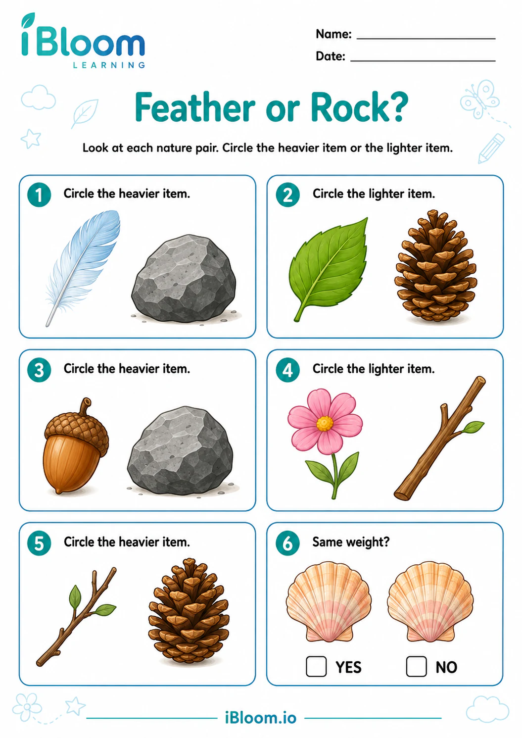 Preview page 1 of Feather or Rock?