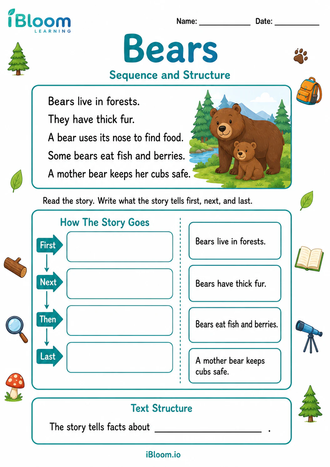 Preview of Bears — Sequence and Structure worksheet