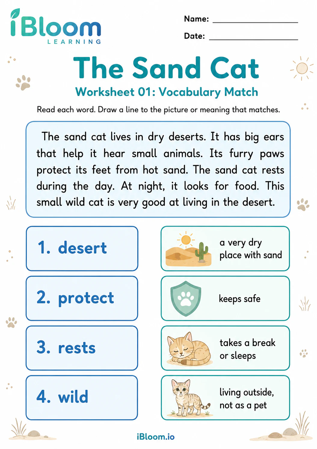 Preview page 1 of The Sand Cat — Preview and Vocabulary