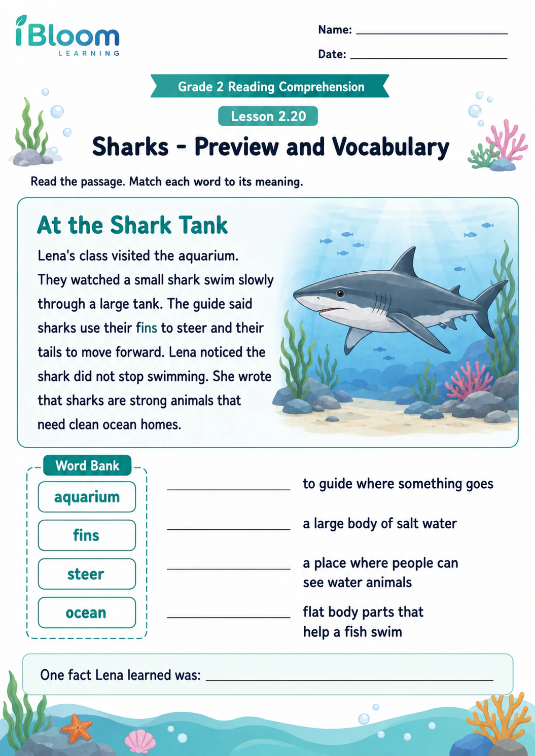 Preview page 1 of Sharks — Preview and Vocabulary