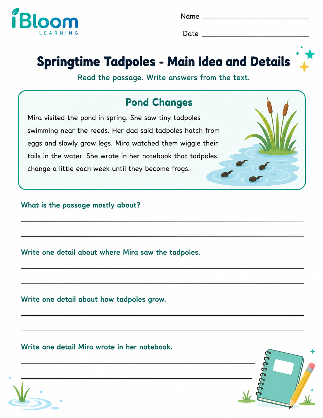 Preview page 1 of Springtime Tadpoles — Main Idea and Details