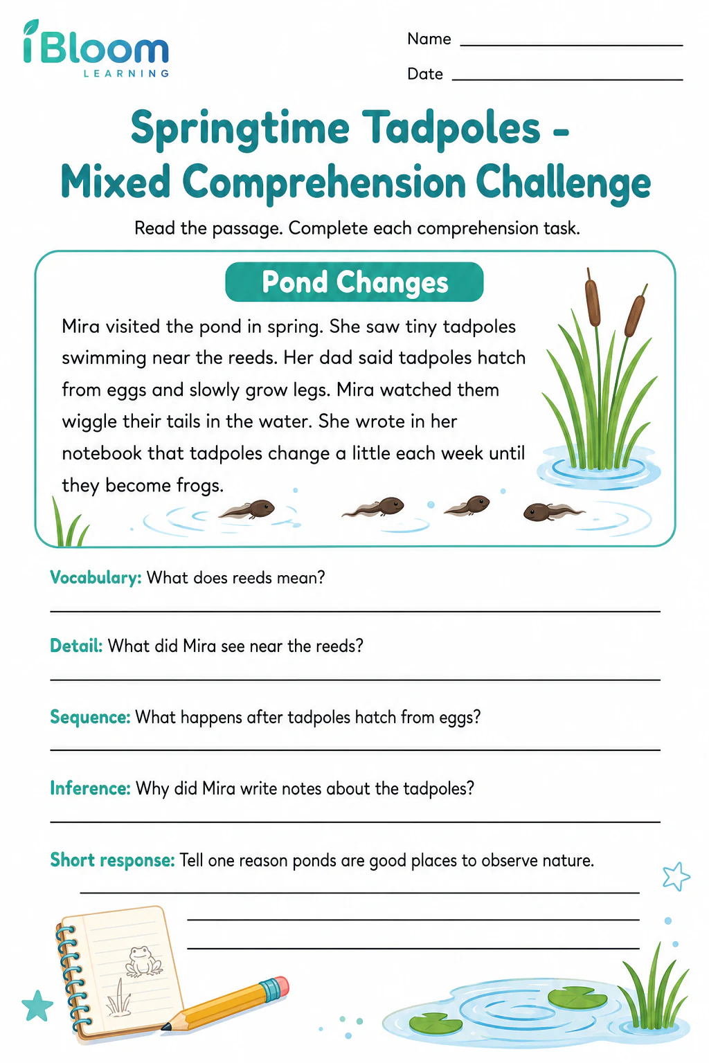 Preview page 1 of Springtime Tadpoles — Mixed Comprehension Challenge