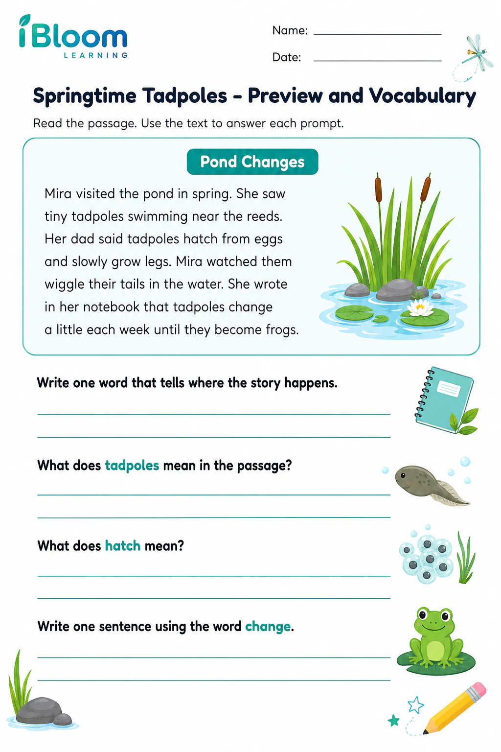 Preview page 1 of Springtime Tadpoles — Preview and Vocabulary