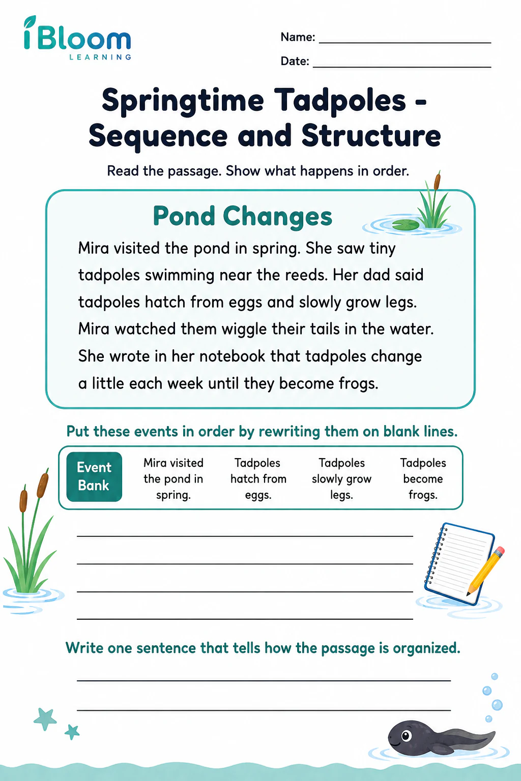Preview page 1 of Springtime Tadpoles — Sequence and Structure