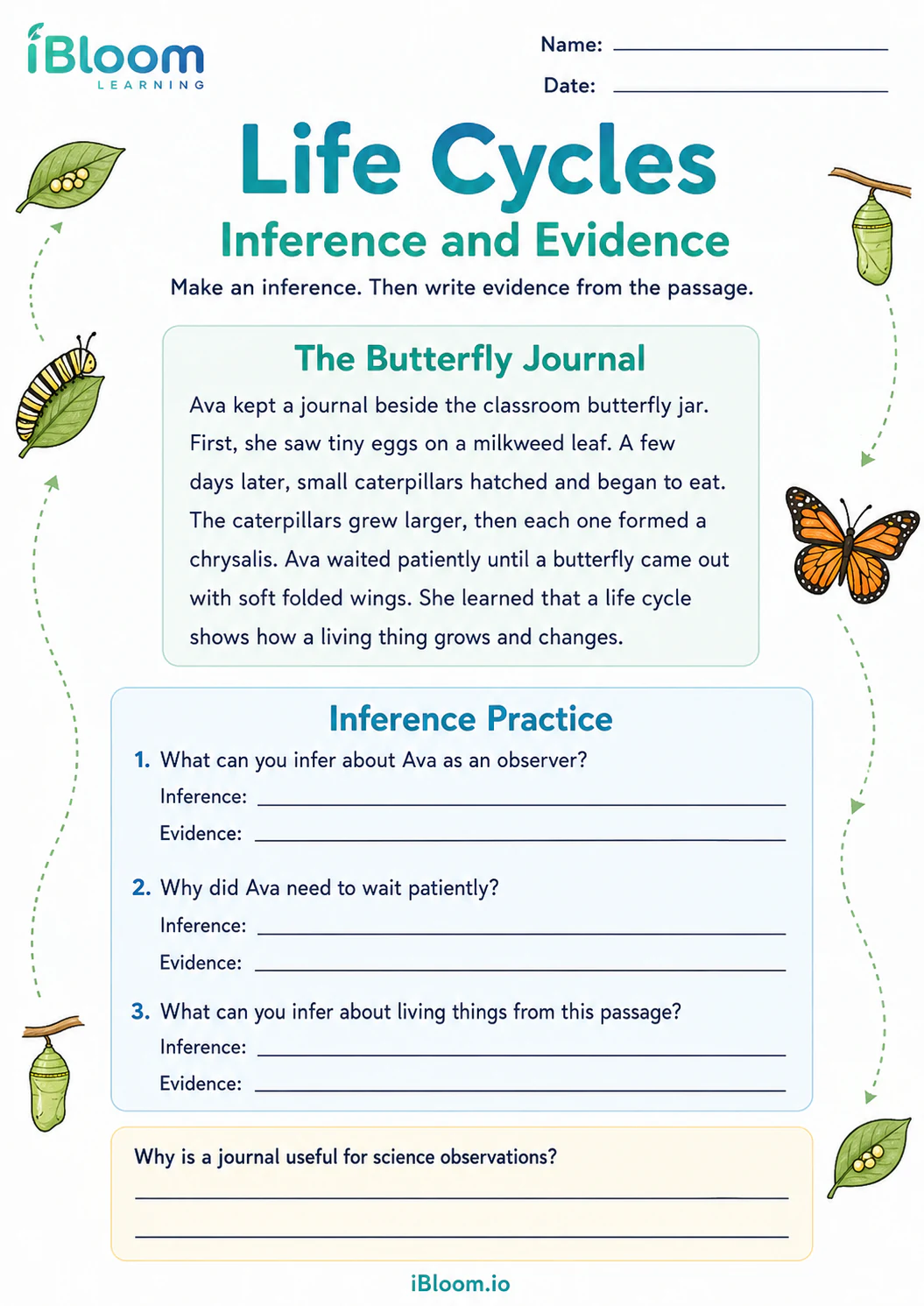 Preview page 1 of Life Cycles — Inference and Evidence