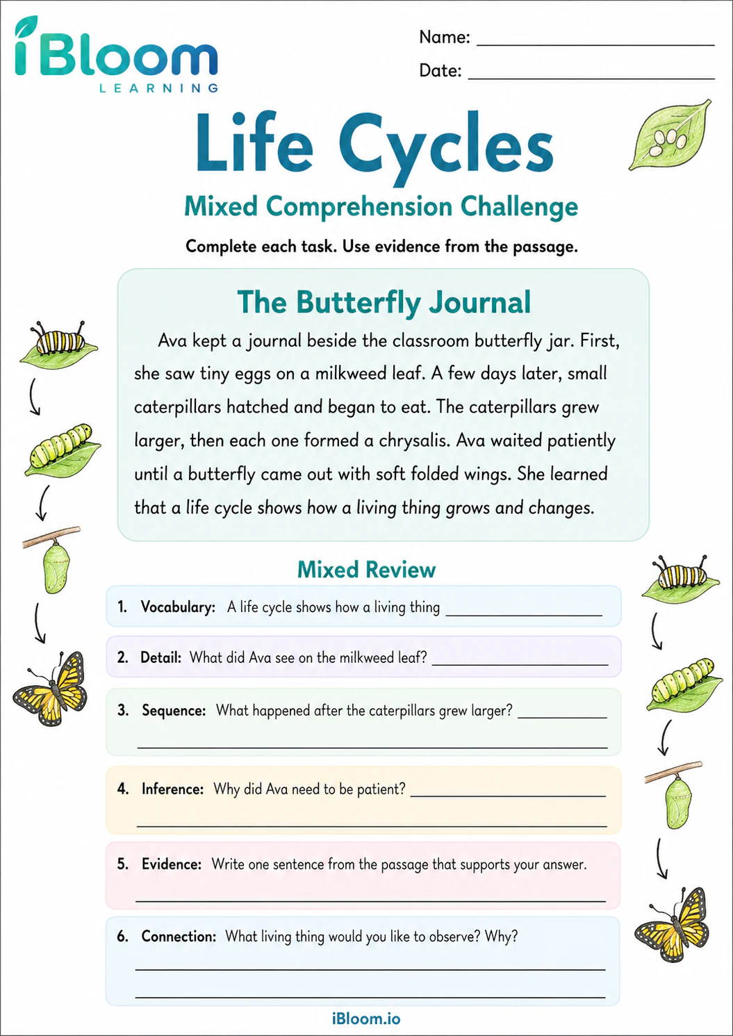 Preview page 1 of Life Cycles — Mixed Comprehension Challenge