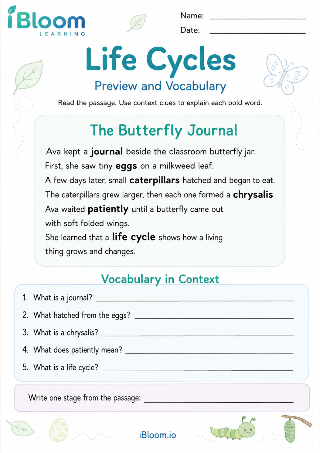 Preview page 1 of Life Cycles — Preview and Vocabulary