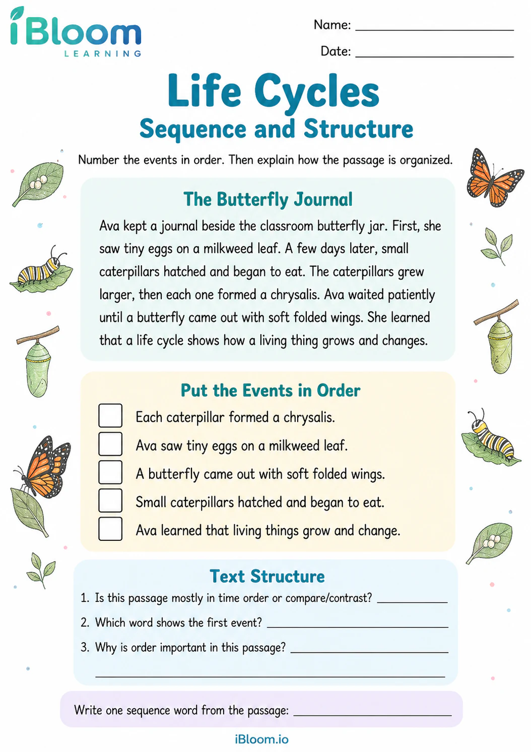 Preview page 1 of Life Cycles — Sequence and Structure