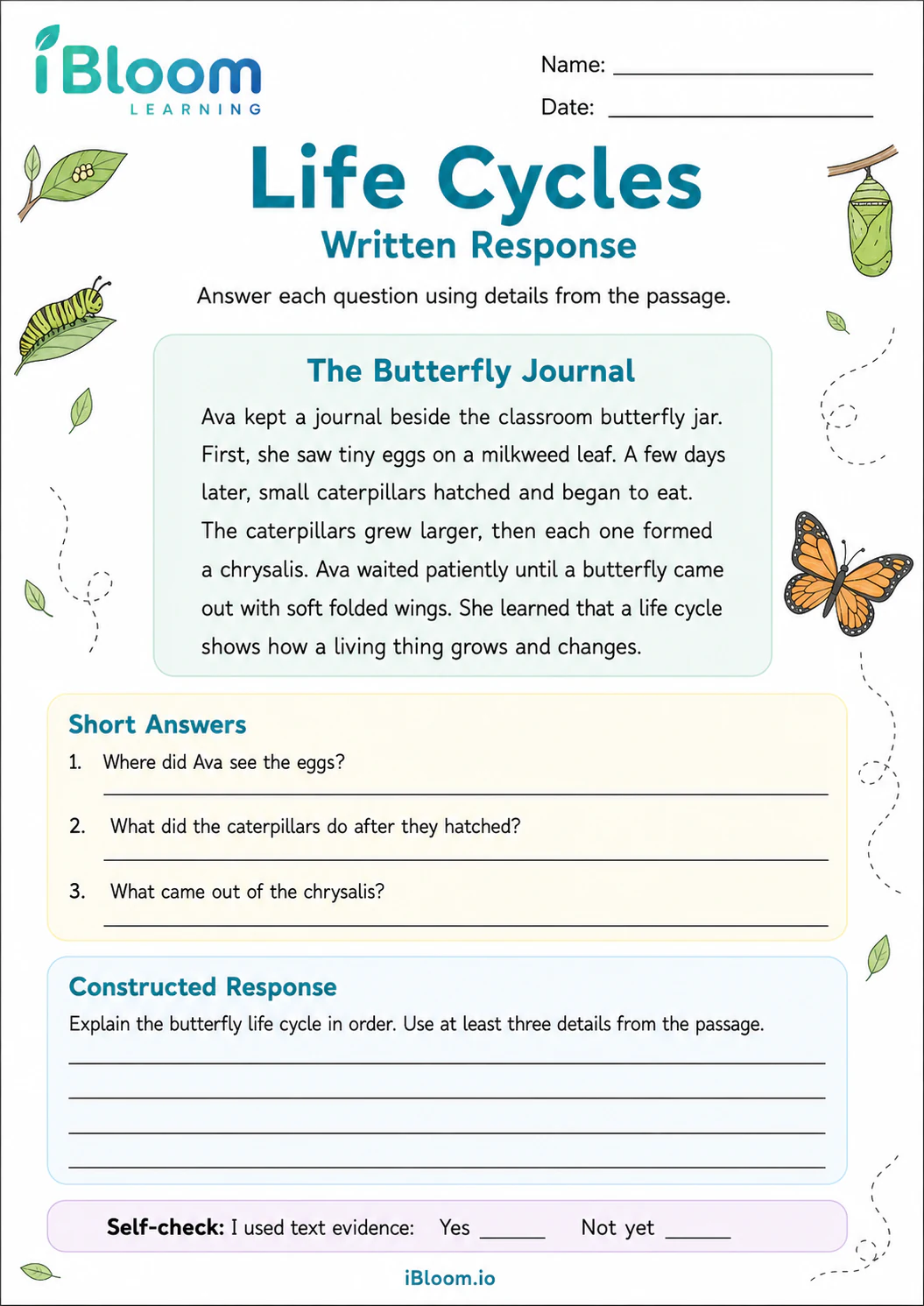 Preview page 1 of Life Cycles — Written Response