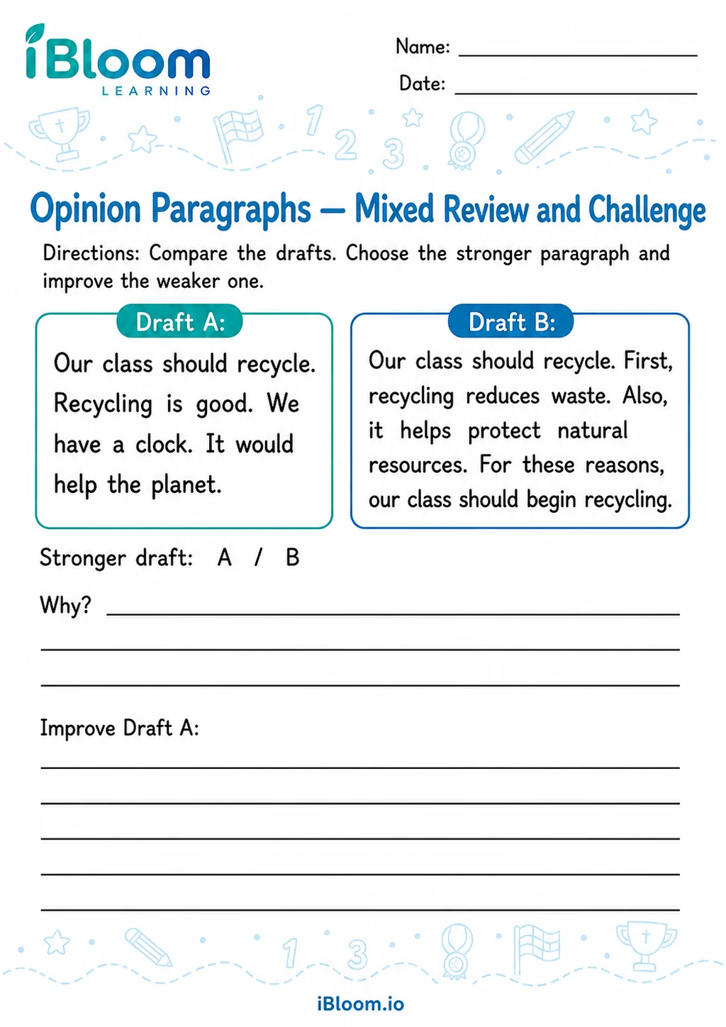 Preview of Opinion Paragraphs — Mixed Review and Challenge worksheet
