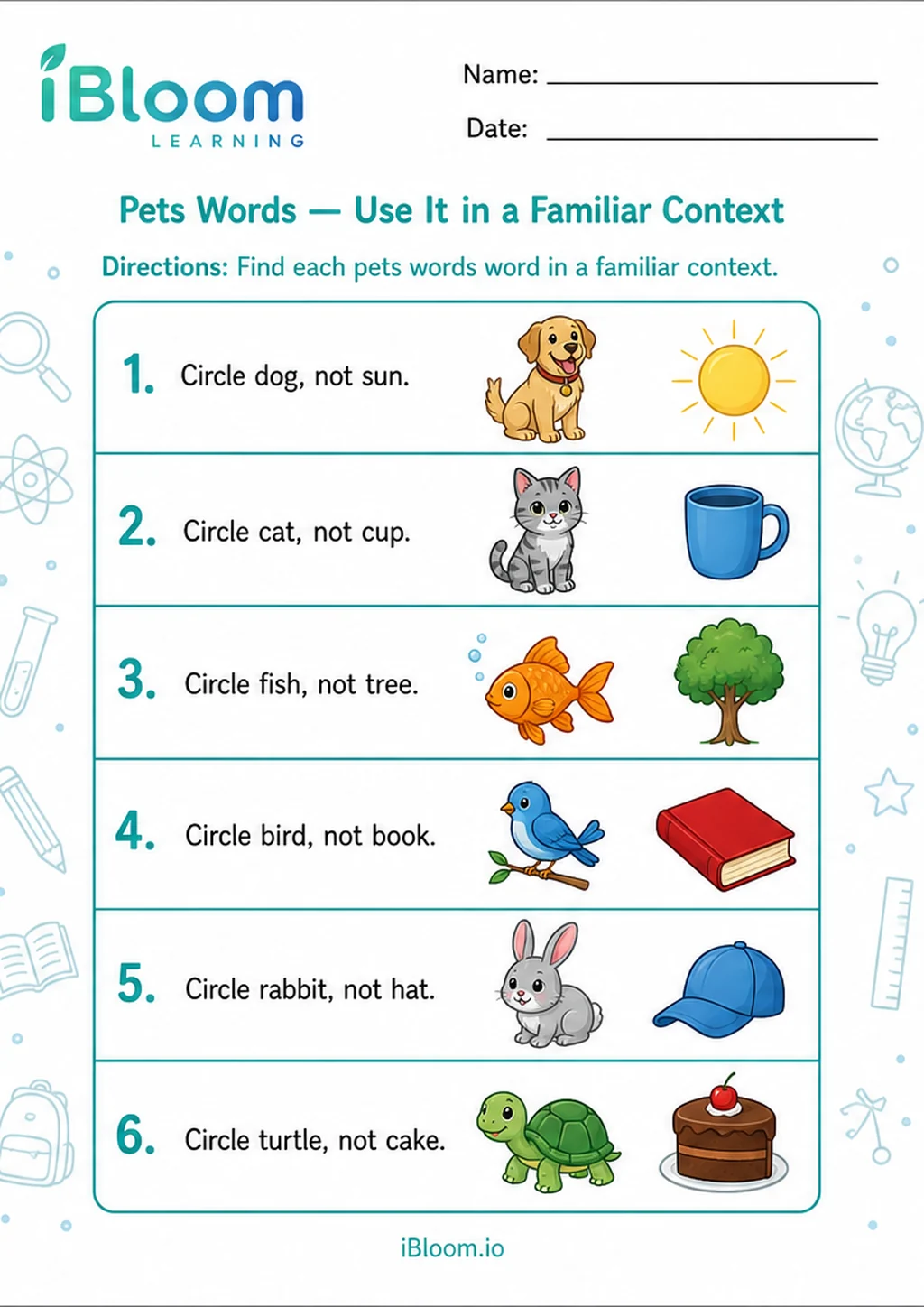 Preview of Pets Words — Use It in a Familiar Context worksheet