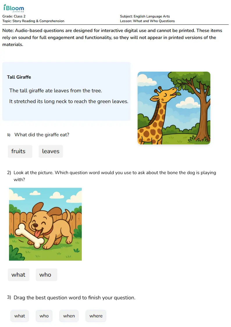 Free What and Who Questions Worksheets for Class 2 | iBloom