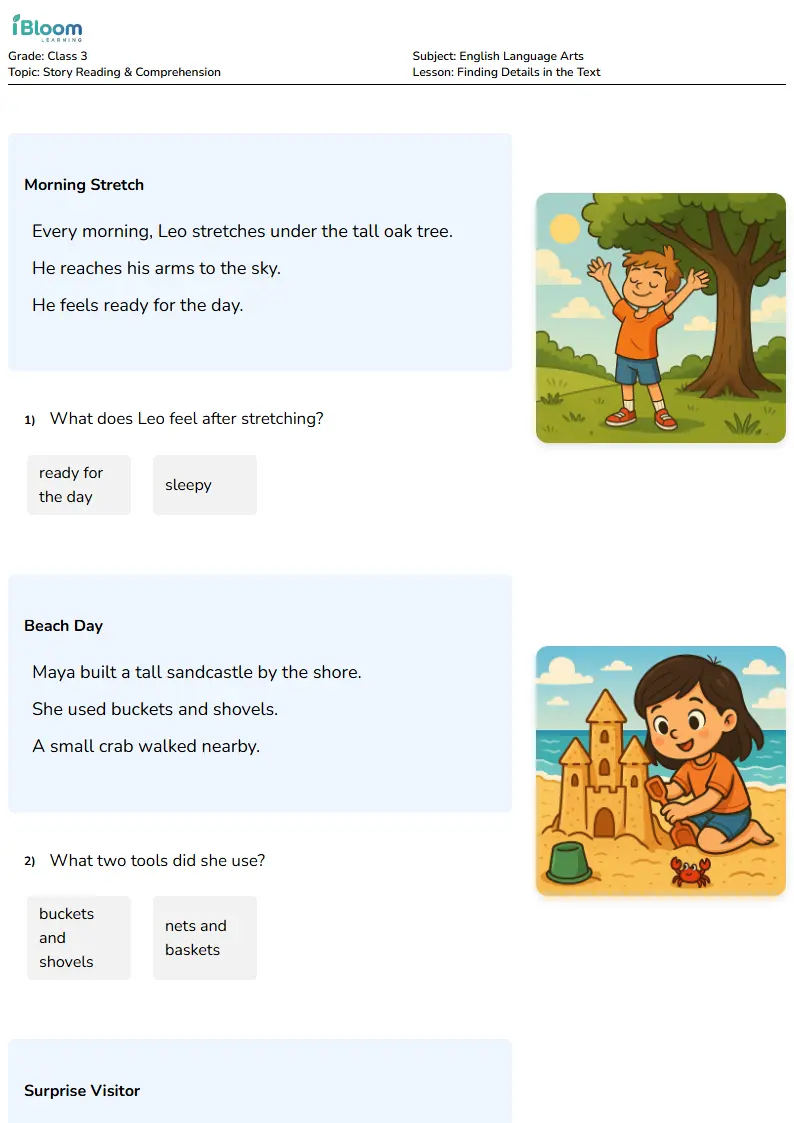 Free Finding Details in the Text Worksheets for Class 3